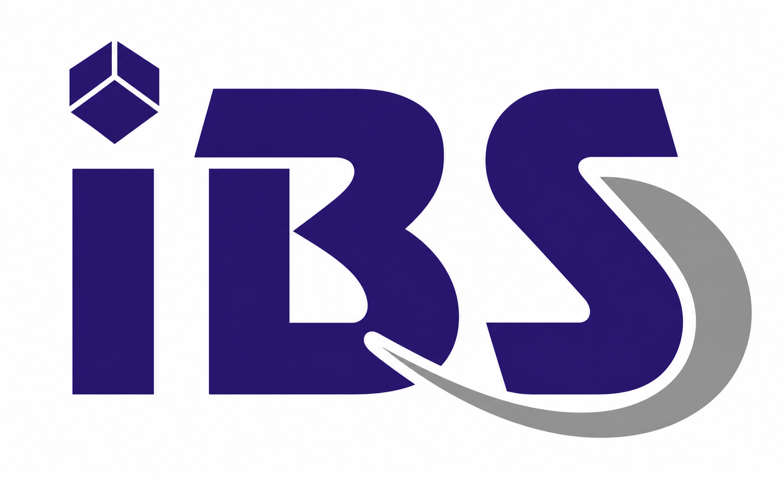 IBS InfoWeb